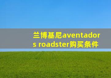 兰博基尼aventador s roadster购买条件